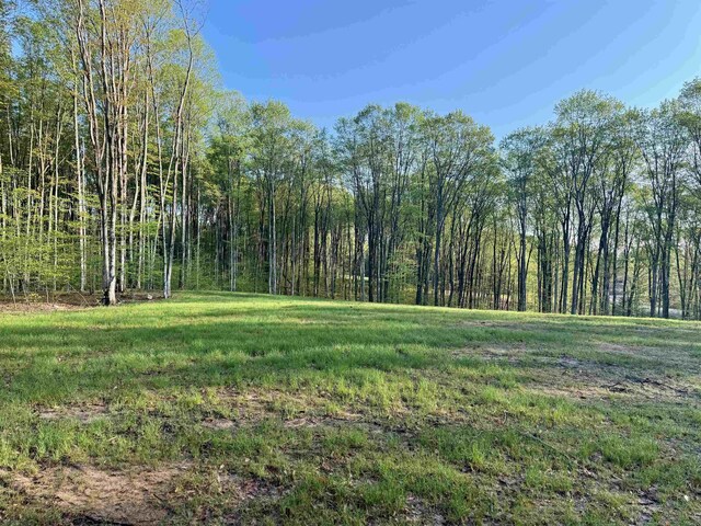 0001 S Bright Rd, Maple City, MI 49664