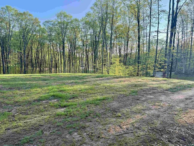 0001 S Bright Rd, Maple City, MI 49664