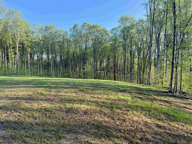 0001 S Bright Rd, Maple City, MI 49664