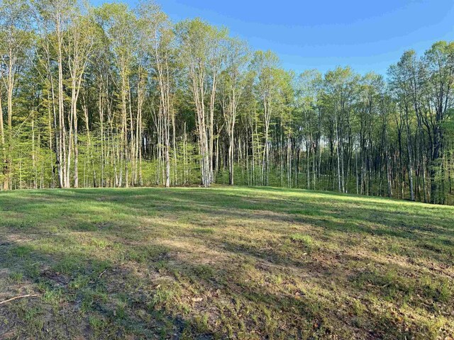 0001 S Bright Rd, Maple City, MI 49664