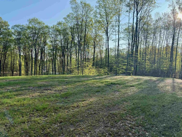 0001 S Bright Rd, Maple City, MI 49664