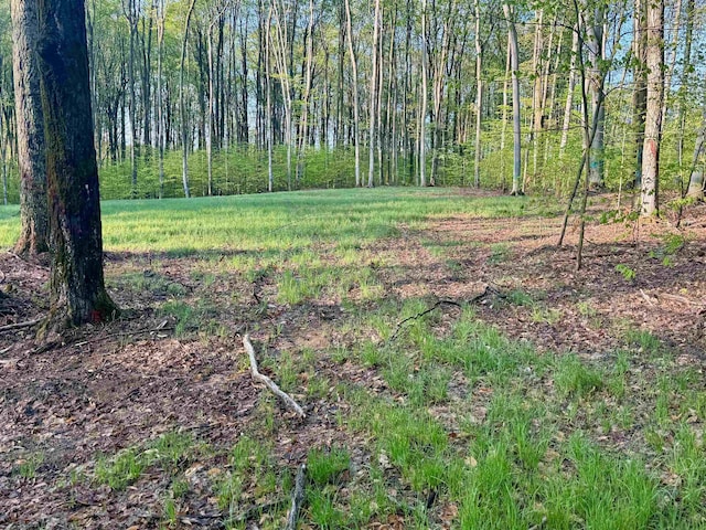 0002 S Bright Rd, Maple City, MI 49664