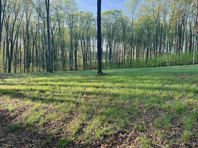 0002 S Bright Rd, Maple City, MI 49664