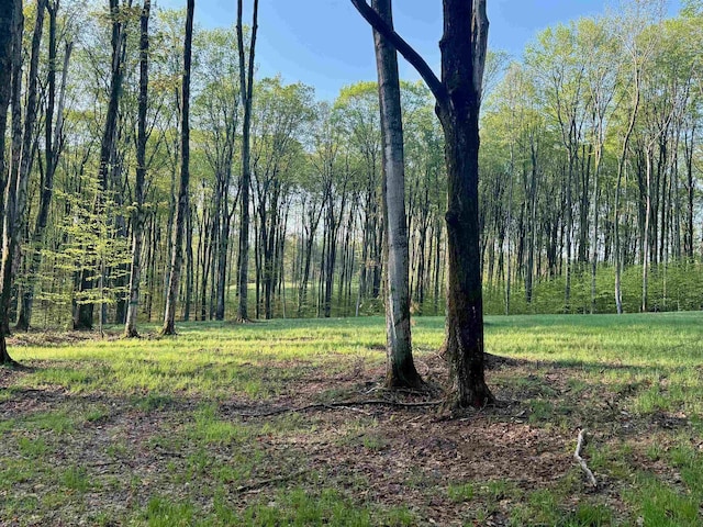 0002 S Bright Rd, Maple City, MI 49664