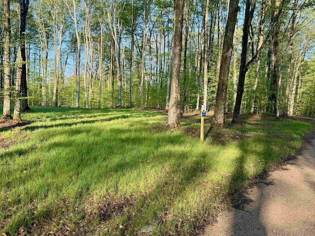 0002 S Bright Rd, Maple City, MI 49664