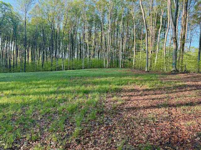 0002 S Bright Rd, Maple City, MI 49664