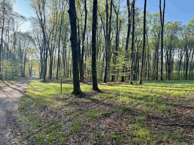 0002 S Bright Rd, Maple City, MI 49664