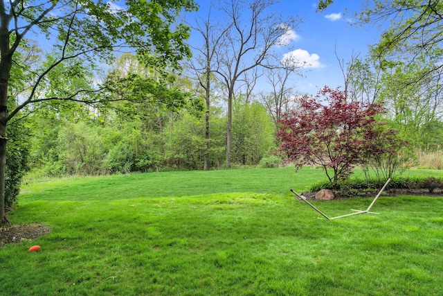 1663 Tacoma Dr, Rochester Hills, MI 48306 - view of green lawn