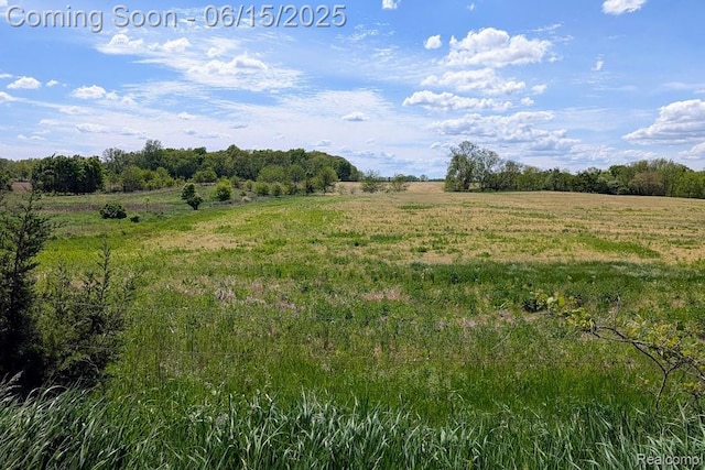 ParcelD- Hogan Road, Linden, MI 48451 - photo 6