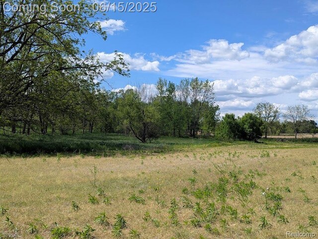 ParcelD- Hogan Road, Linden, MI 48451 - photo 14