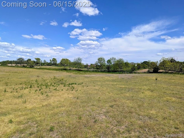 ParcelD- Hogan Road, Linden, MI 48451 - photo 8