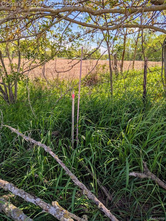 ParcelD- Hogan Road, Linden, MI 48451 - photo 17