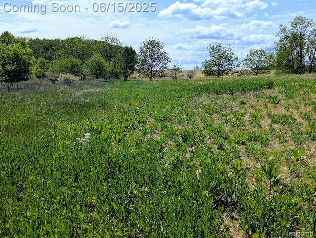 ParcelD- Hogan Road, Linden, MI 48451 - photo 5
