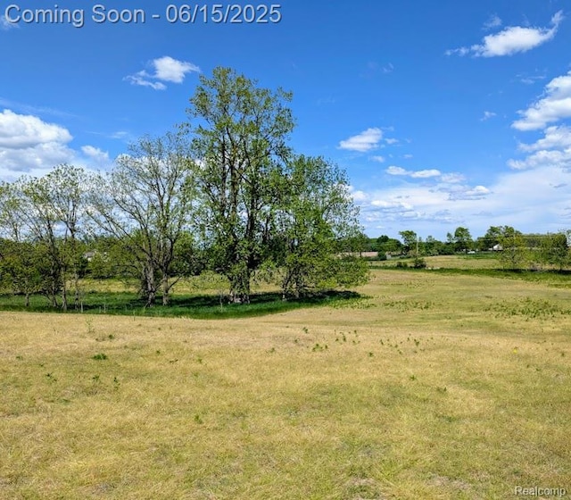 ParcelD- Hogan Road, Linden, MI 48451 - photo 16