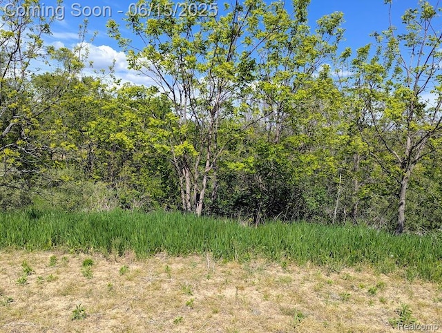 ParcelD- Hogan Road, Linden, MI 48451 - photo 9