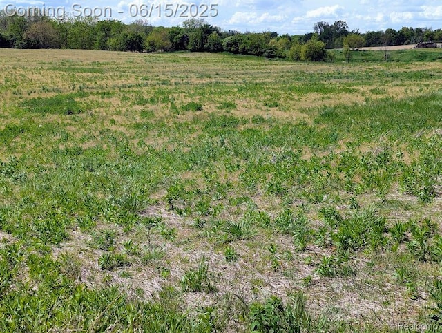 ParcelD- Hogan Road, Linden, MI 48451 - photo 15