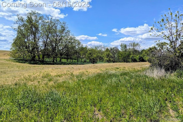 ParcelD- Hogan Road, Linden, MI 48451 - photo 3