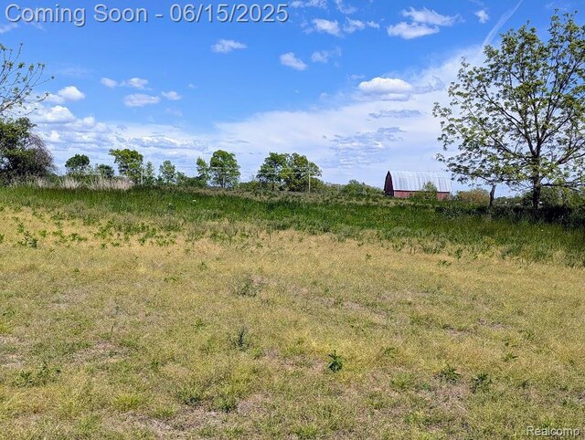 ParcelD- Hogan Road, Linden, MI 48451 - photo 12