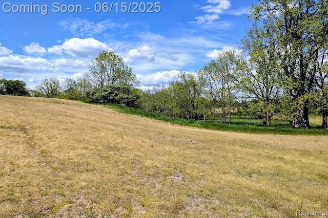 ParcelD- Hogan Road, Linden, MI 48451 - photo 13