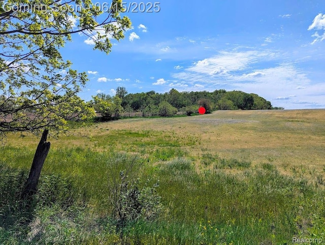 ParcelD- Hogan Road, Linden, MI 48451 - photo 1