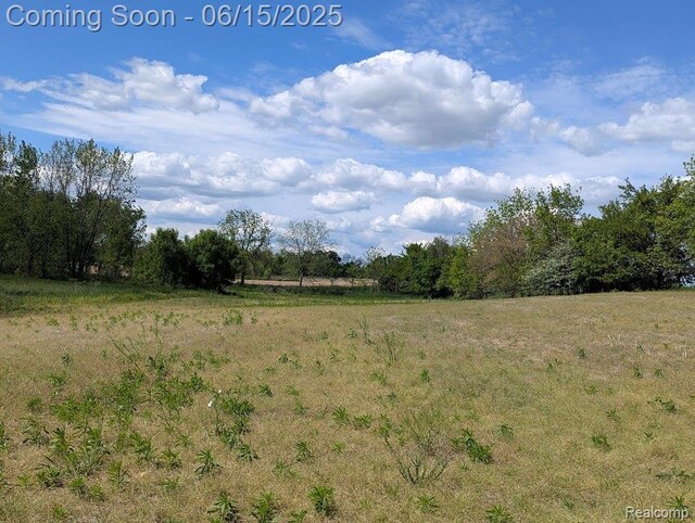ParcelD- Hogan Road, Linden, MI 48451 - photo 11