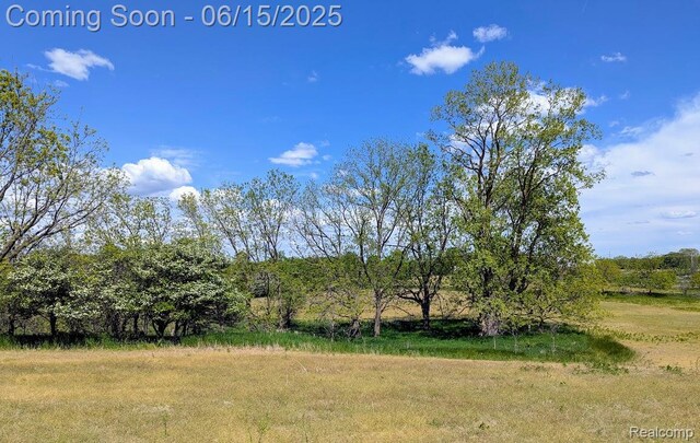 ParcelD- Hogan Road, Linden, MI 48451 - photo 10