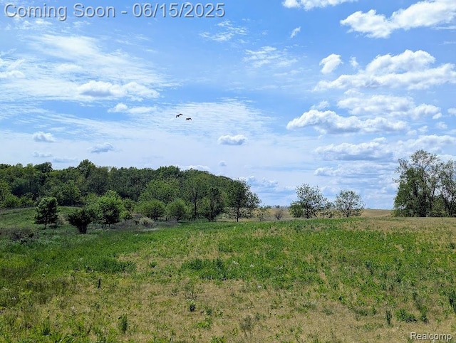ParcelD- Hogan Road, Linden, MI 48451 - photo 7