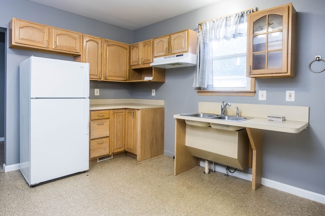 1309 Division St, Port Huron, MI 48060 - kitchen featuring freestanding refrigerator, under cabinet range hood, baseboards, glass insert cabinets, and a sink