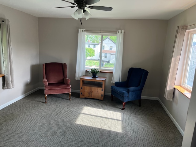 1309 Division St, Port Huron, MI 48060 - living area featuring ceiling fan, carpet, and baseboards