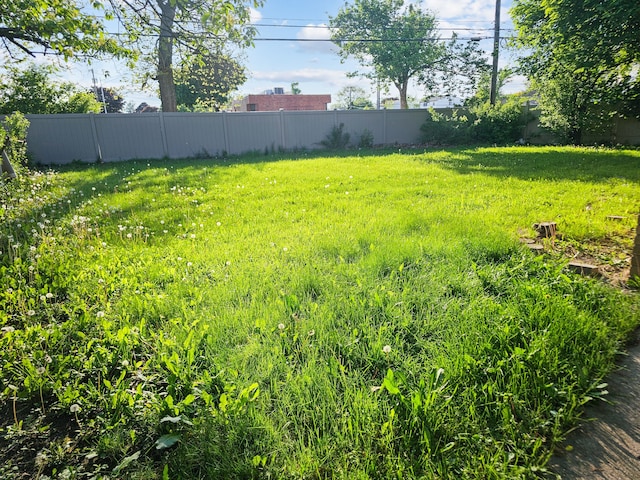 24161 Beverly St, Oak Park, MI 48237 - view of yard with fence