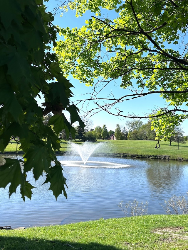 1840 Brentwood Dr, Troy, MI 48098 - water view