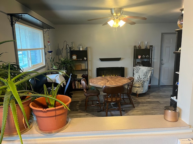 dining space featuring wood finished floors, a fireplace, and a ceiling fan