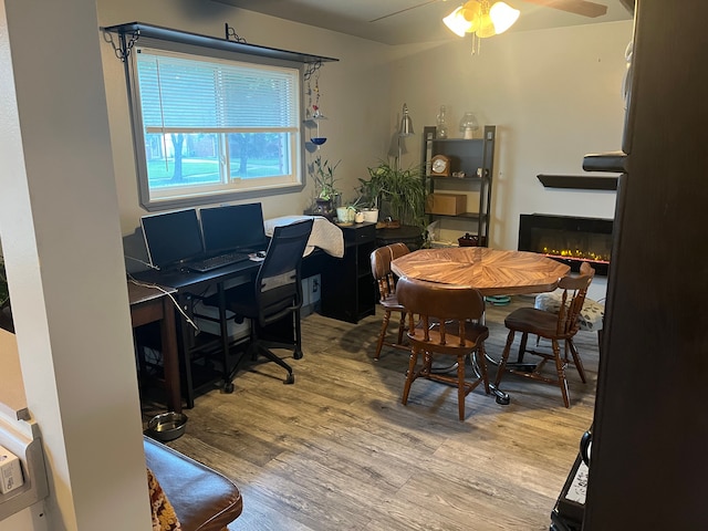 dining space featuring wood finished floors, a ceiling fan, a lit fireplace, and a desk