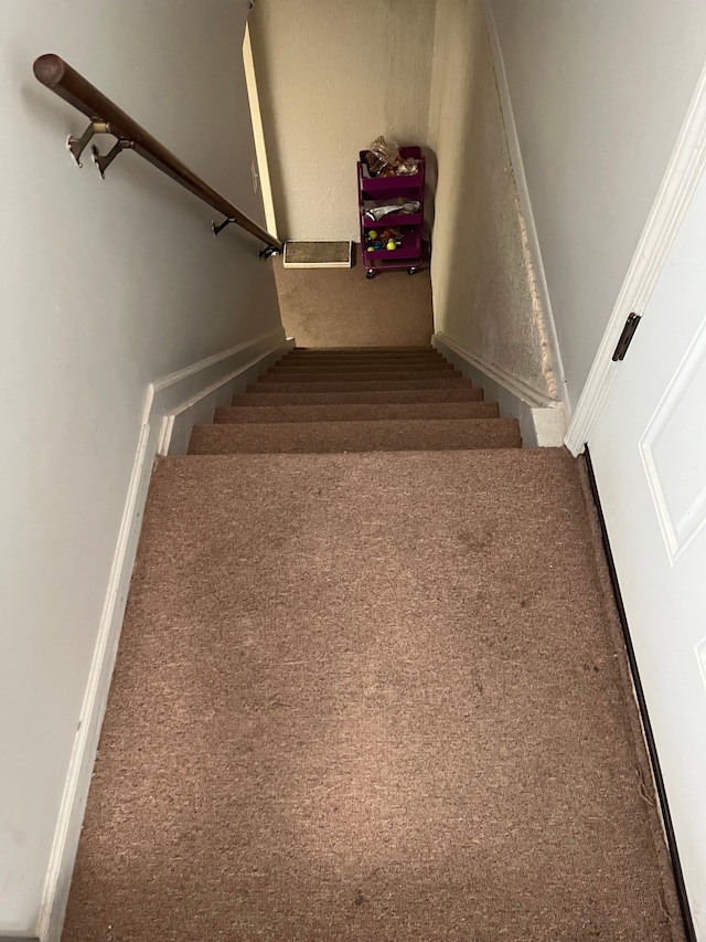 staircase featuring carpet floors