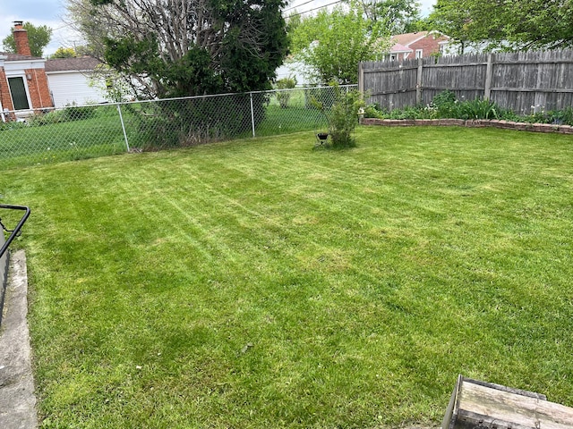 view of yard