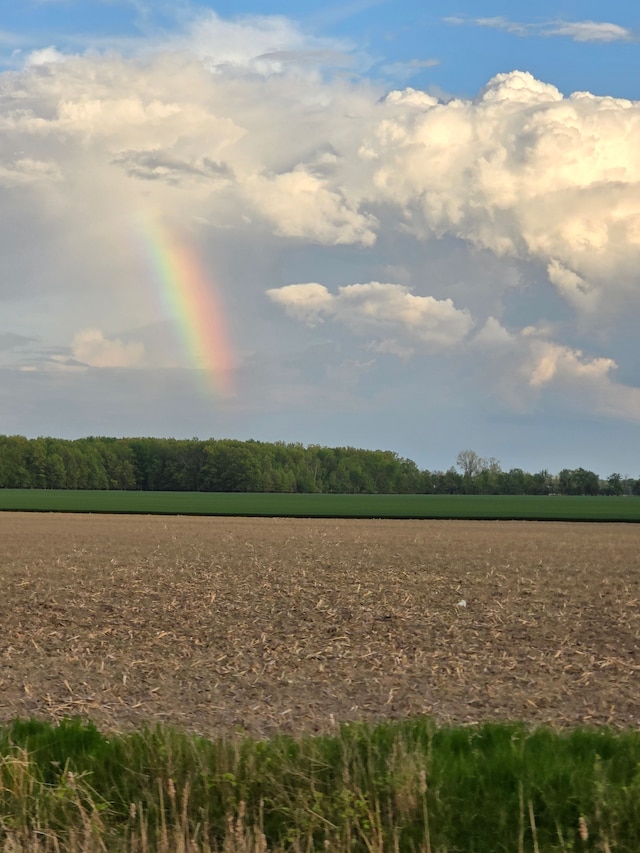 10071 Hillman Rd, Lakeview, MI 48850 - view of nature
