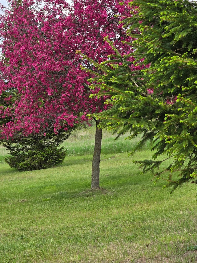 10071 Hillman Rd, Lakeview, MI 48850 - view of grassy yard