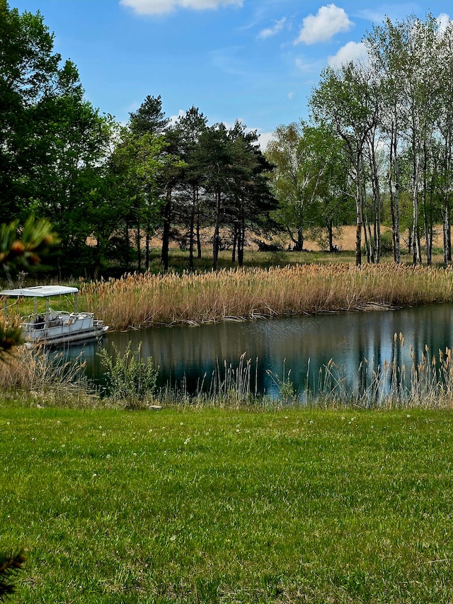 10071 Hillman Rd, Lakeview, MI 48850 - water view