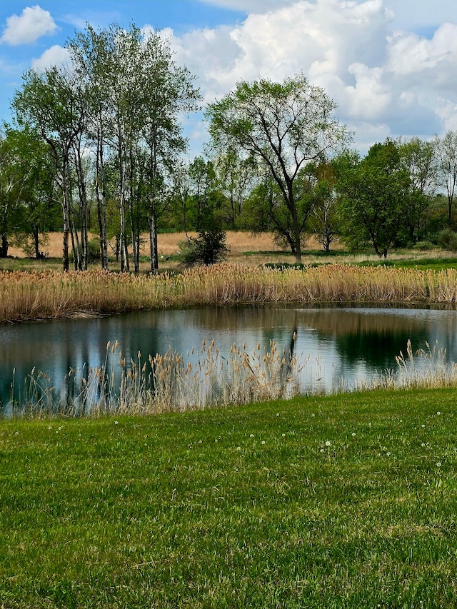10071 Hillman Rd, Lakeview, MI 48850 - water view