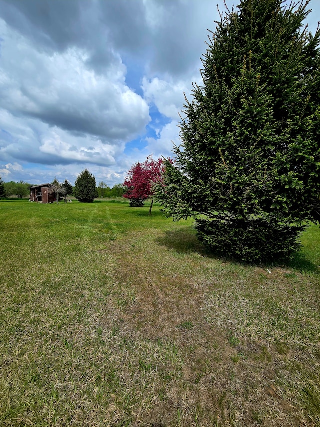 10071 Hillman Rd, Lakeview, MI 48850 - view of green lawn with an outbuilding