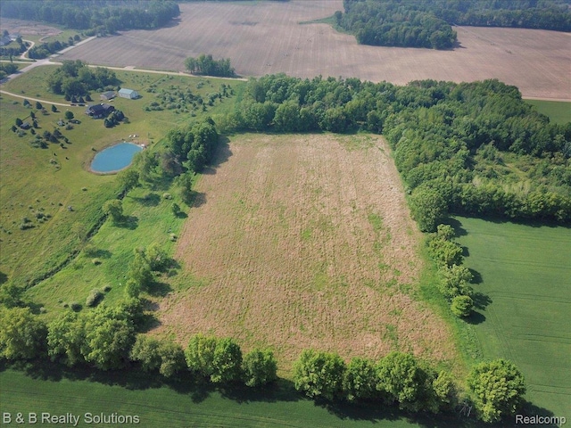 10071 Hillman Rd, Lakeview, MI 48850 - aerial overview of property's location with rural landscape