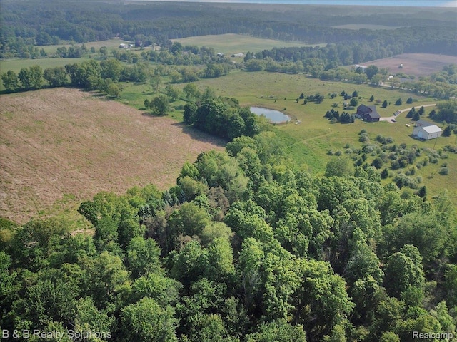 10071 Hillman Rd, Lakeview, MI 48850 - overview of rural landscape with a forest