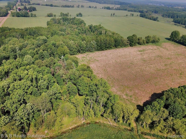 10071 Hillman Rd, Lakeview, MI 48850 - aerial view of property's location featuring a forest and rural landscape