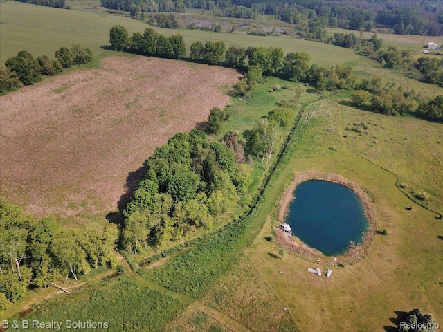 10071 Hillman Rd, Lakeview, MI 48850 - aerial view of property's location featuring rural landscape and a nearby body of water