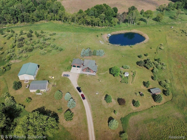 10071 Hillman Rd, Lakeview, MI 48850 - aerial overview of property's location