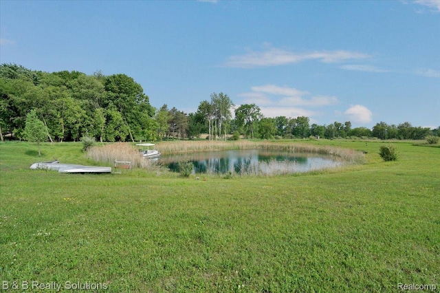 10071 Hillman Rd, Lakeview, MI 48850 - water view