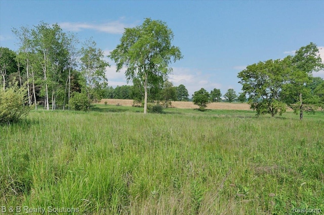 10071 Hillman Rd, Lakeview, MI 48850 - view of yard with a rural view