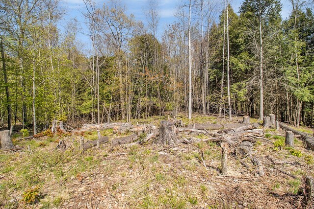 0000 Smith Rd, Onekama, MI 49675