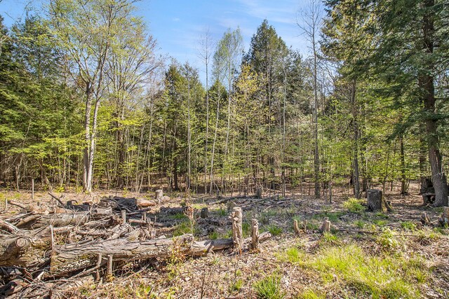 0000 Smith Rd, Onekama, MI 49675