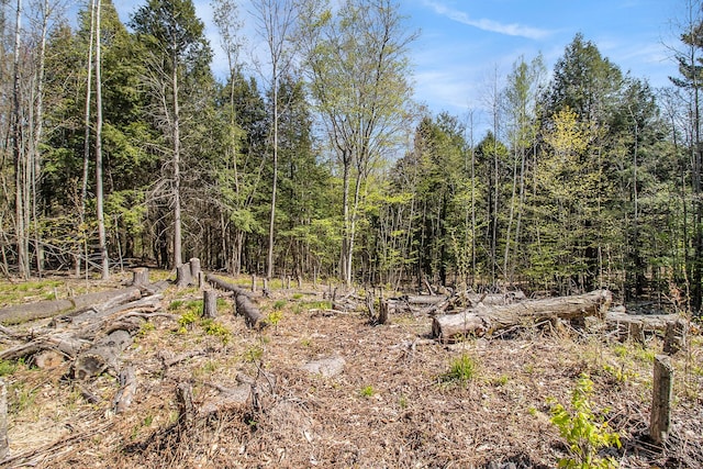 0000 Smith Rd, Onekama, MI 49675